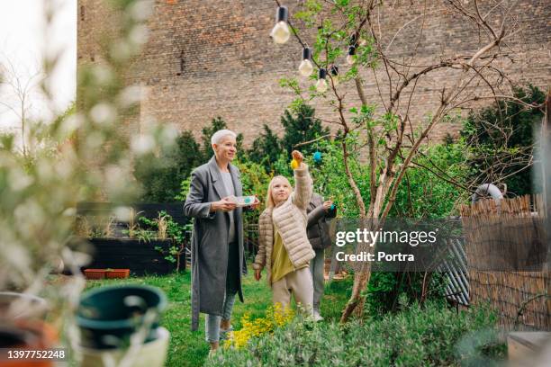 easter eggs in the garden - easter egg hunt outside stock pictures, royalty-free photos & images