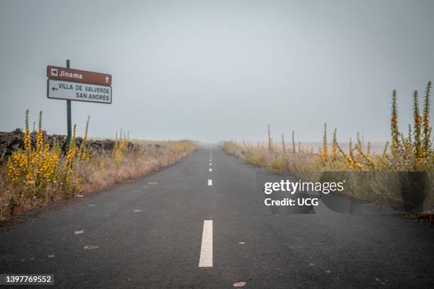 Very ofthen the fog is part of the daily life here in the center of El Hiero island, where the weather can be very different from the sunny and warm...