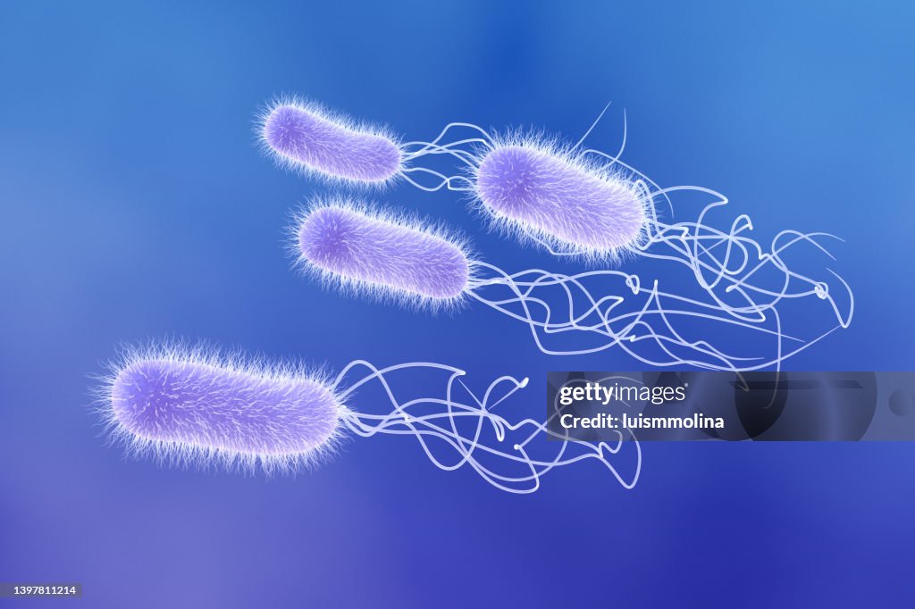 Pseudomonas Aeruginosa Urease Pseudomonas Aeruginosa High-Res Stock Photo - Getty Images
