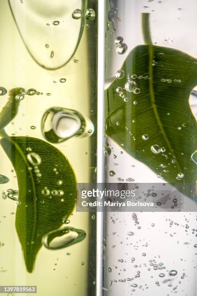 two test tubes with green and transparent cosmetic gel. - aloe plant stockfoto's en -beelden