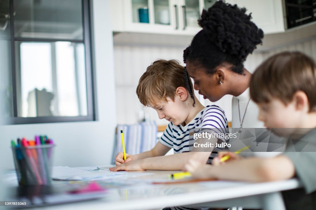 Boy Learning Lesson Two Elementary School Boys Having Lessons At Home With Private Teacher ...