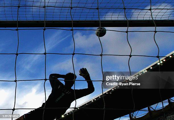 Mark Paston of Wellington dives to make a save during the round 21 A-League match between Sydney FC and Wellington Phoenix at Sydney Football Stadium...