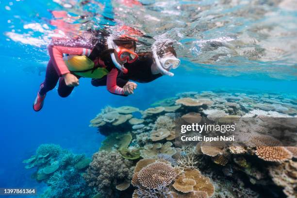 mother and child snorkeling over coral reef - okinawa prefecture stock pictures, royalty-free photos & images