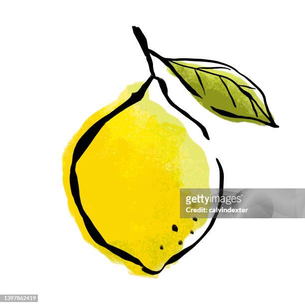 lemon fruit watercolor painting - ink stock illustrations