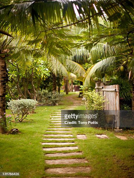 path through resort. - tropical garden stock-fotos und bilder