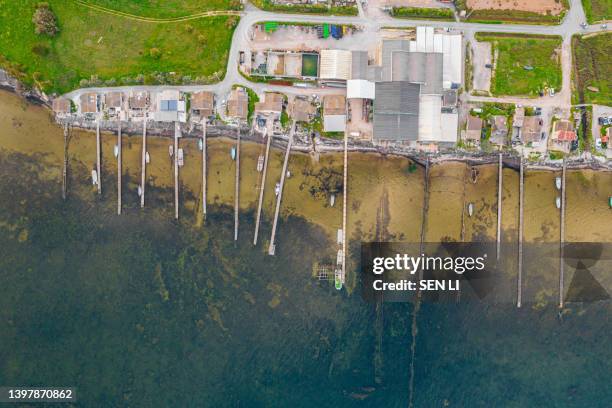 aerial view of the oyster farm in étang de thau (lake thau) in the south france - fish pond stock pictures, royalty-free photos & images