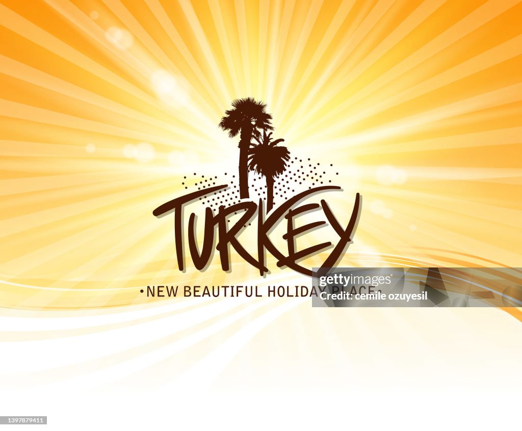 Sunny turkey
