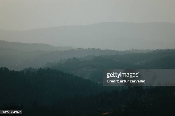 morning backgrounds, mist in the landscape by the mountains, spring time - distrikt castelo branco portugal stock-fotos und bilder
