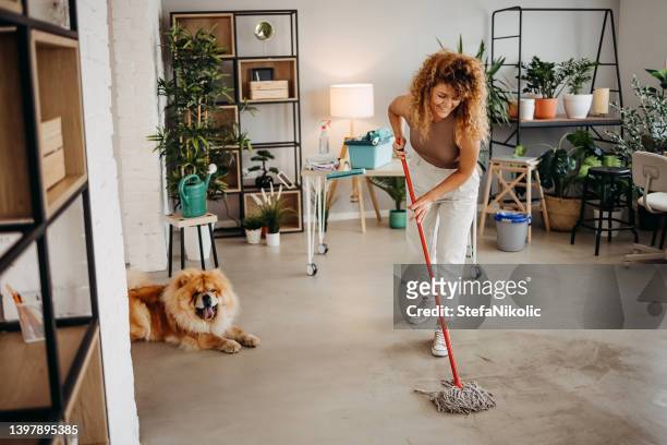 cleaning is more fun with you - spring clean and female stock pictures, royalty-free photos & images