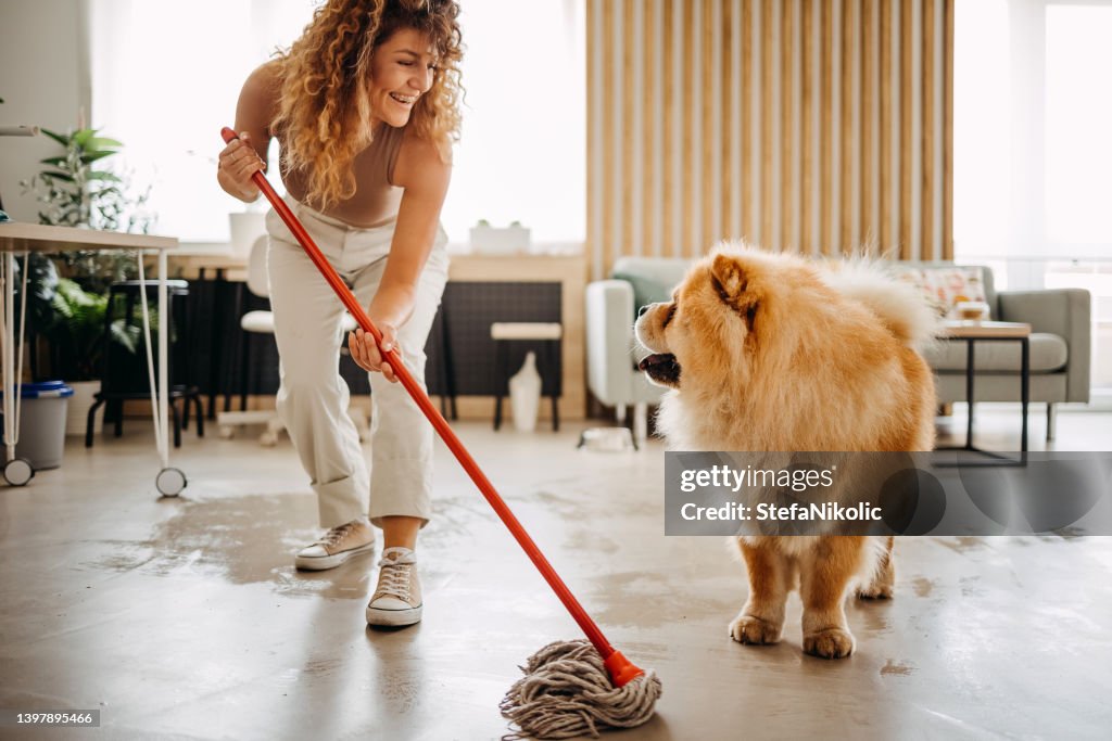 Cleaning is more fun with you