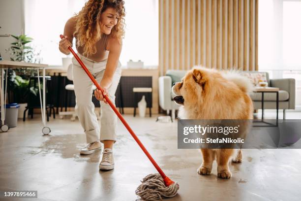 cleaning is more fun with you - domestic animals bildbanksfoton och bilder