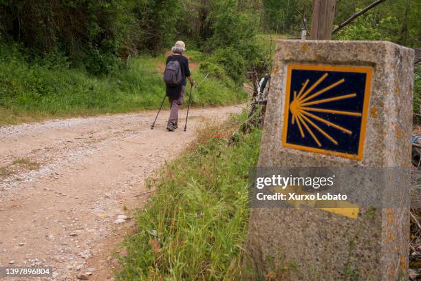 The signal indicates to a Spanish pilgrim the Camino de Santiago de Invierno. This path begins in Ponferrada, El Bierzo region, and reaches Lalin,...