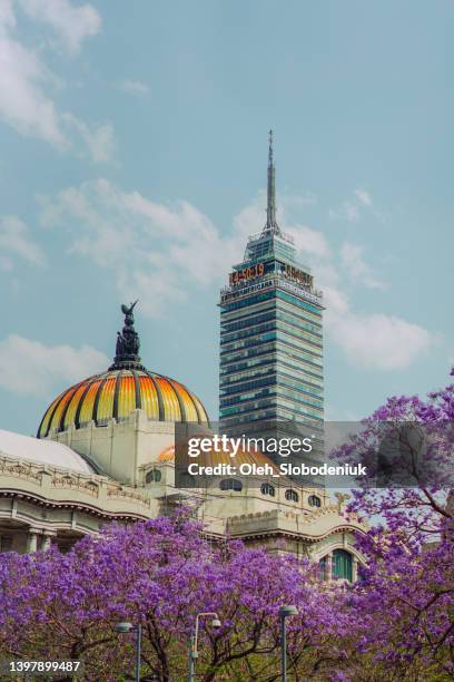 scenic view of mexico city in spring - jacaranda tree stock pictures, royalty-free photos & images