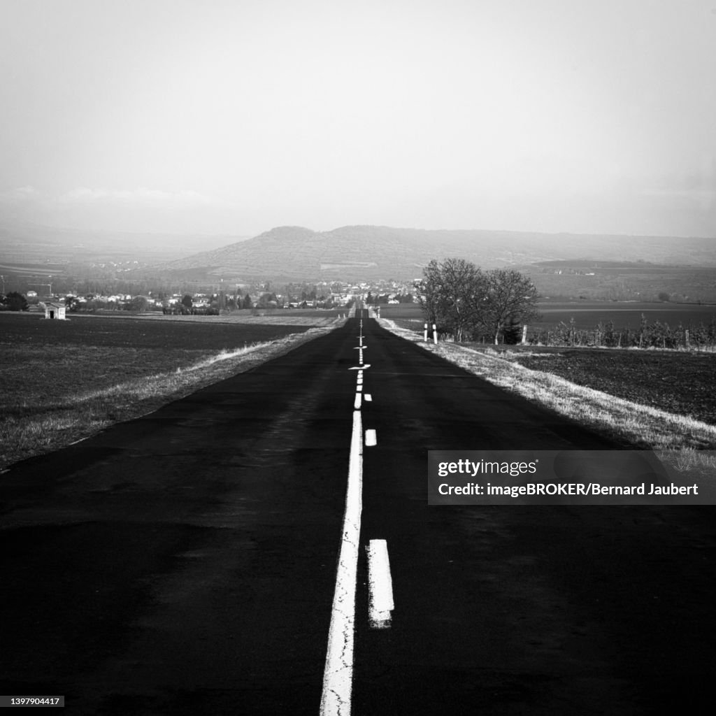 Road in countryside, Puy de Dome department, Auvergne Rhone Alpes, France