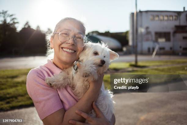 donna matura che tiene il suo cucciolo all'aperto - maltese dog foto e immagini stock