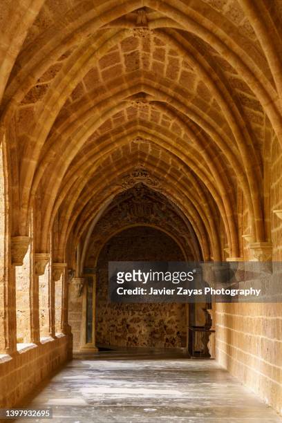 cloister of the cistercian monasterio de piedra - cisterciense - fotografias e filmes do acervo
