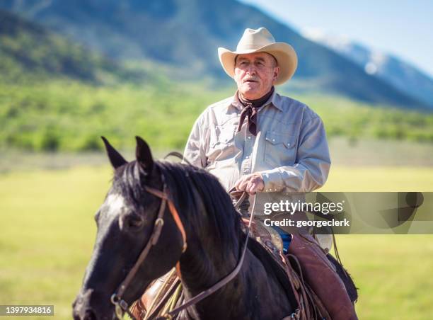 senior american cowboy - horse front view stock pictures, royalty-free photos & images