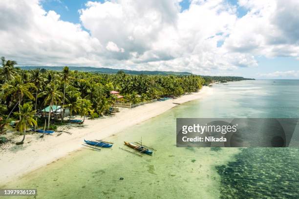 aerial view of a beautiful beach on siquijor island philippines - island of siquijor stock pictures, royalty-free photos & images
