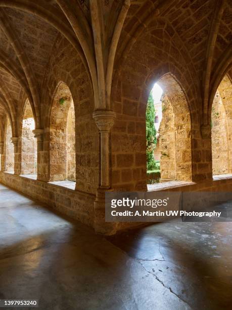 spain, autonomous community of aragon, cloister of the cistercian monasterio de piedra - cloister stock pictures, royalty-free photos & images