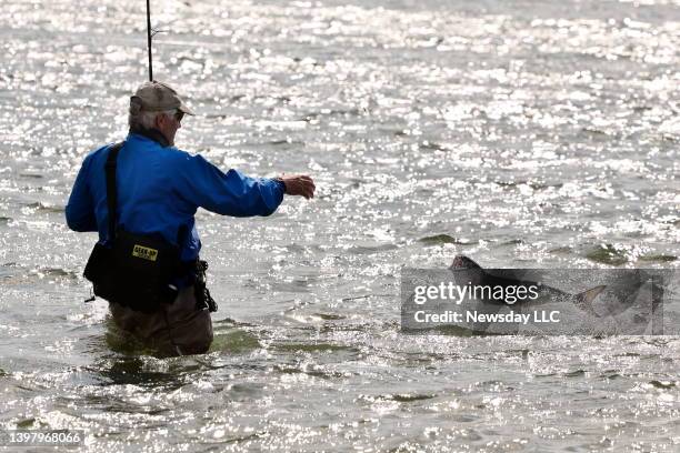 Fred Blount, of Farmingville, New York catches a bluefish in the Great South Bay near Smith Point County Park, in Shirley, New York on May 17, 2022.