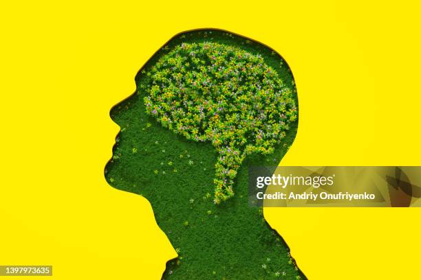 flower brain - kopf an kopf stock-fotos und bilder