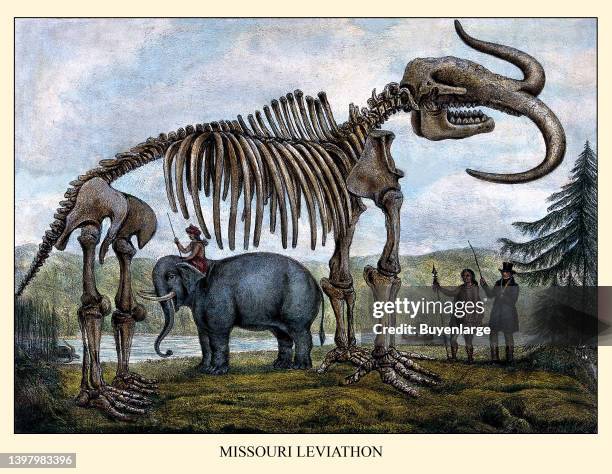 Missouri Leviathan by George Tytler . Skeleton of the Missouri Leviathan: the skeleton is shown standing in a pastoral setting, with a Native...