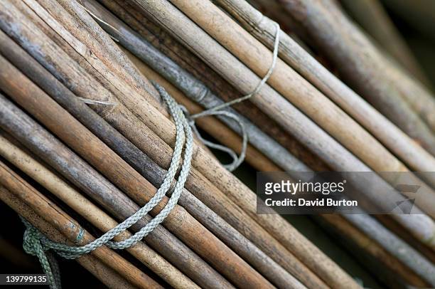 bundles of garden canes - bundle stock pictures, royalty-free photos & images