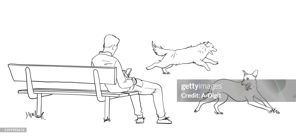 Man On Bench With Dogs Running Sketch