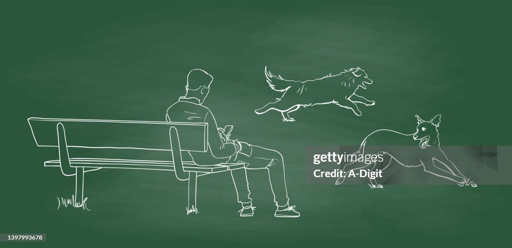 Man On Bench With Dogs Running Chalkboard