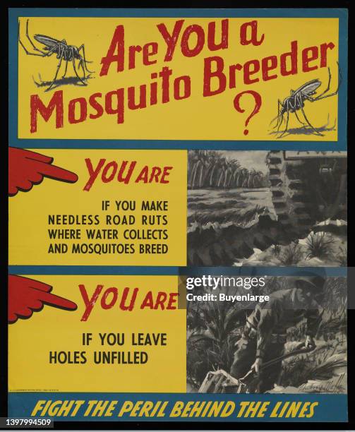 Government issued WWII poster warning of the dangers of mosquitos and thre transmission of disease if one does not take care where water may collect....