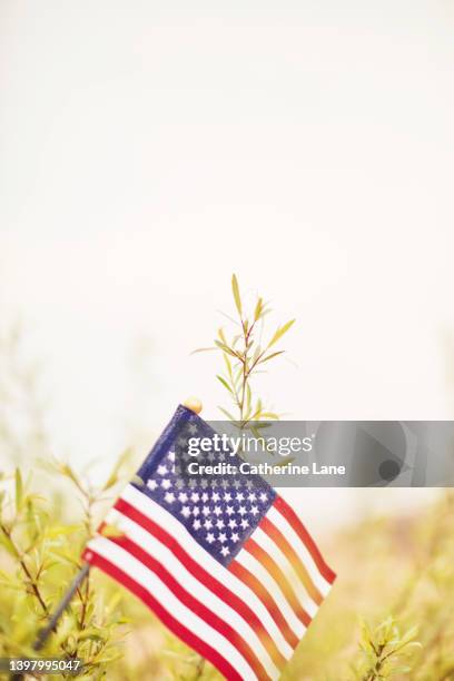 memorial day background with american flag and defocused willow tree leaves in backyard - memorial day background stock-fotos und bilder