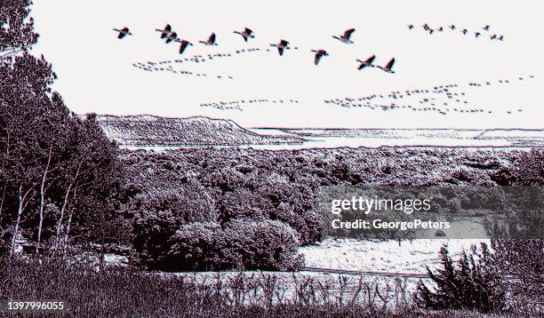 illustrations, cliparts, dessins animés et icônes de paysage vallonné avec des oies volant en v-formation - effet de pointillés