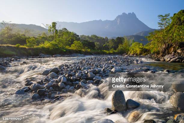 water flowing in a river with view of faraway mount kinabalu. - flowing river stock pictures, royalty-free photos & images