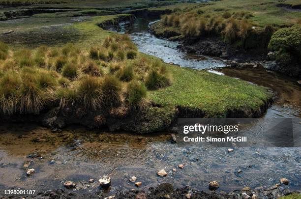 small stream eroding grass land - eroded stock pictures, royalty-free photos & images