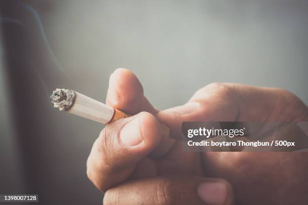 cigarettes with a soft-focus background is dark - softfocus stock-fotos und bilder