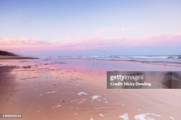 pink beach sunset - australia summer reflection stock-fotos und bilder