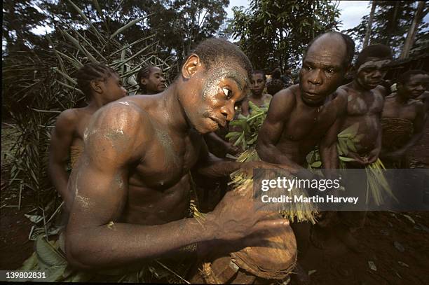 Pygmy Rituals 27 Pygmy People Stock Photos, High-Res Pictures, and Images - Getty Images
