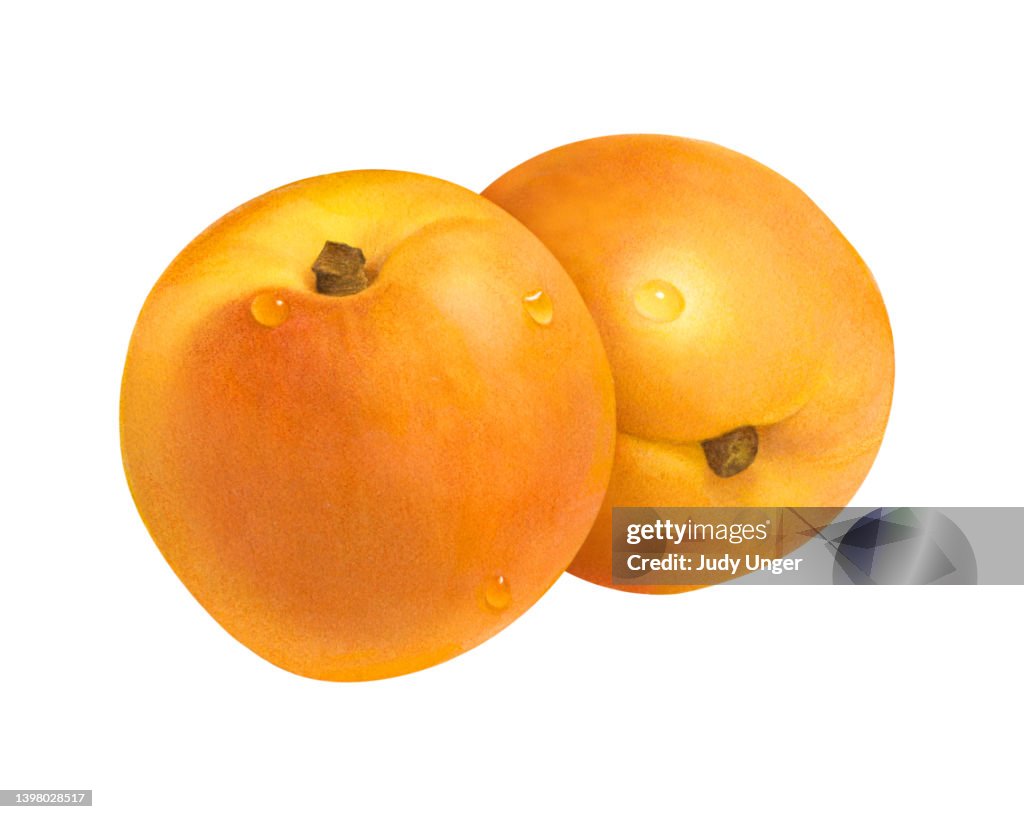 Apricots