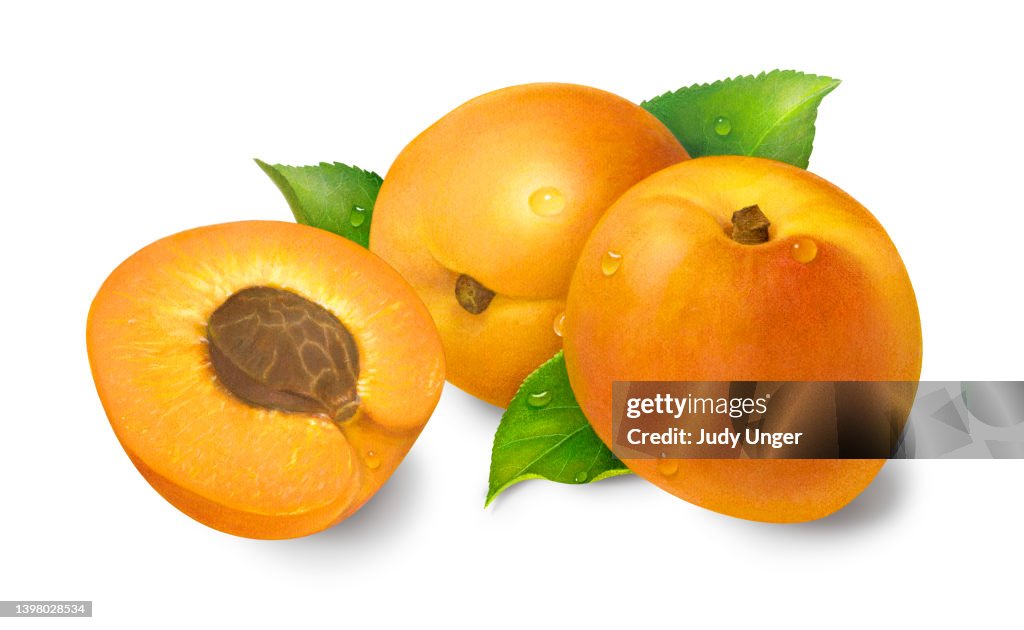 Apricot Display