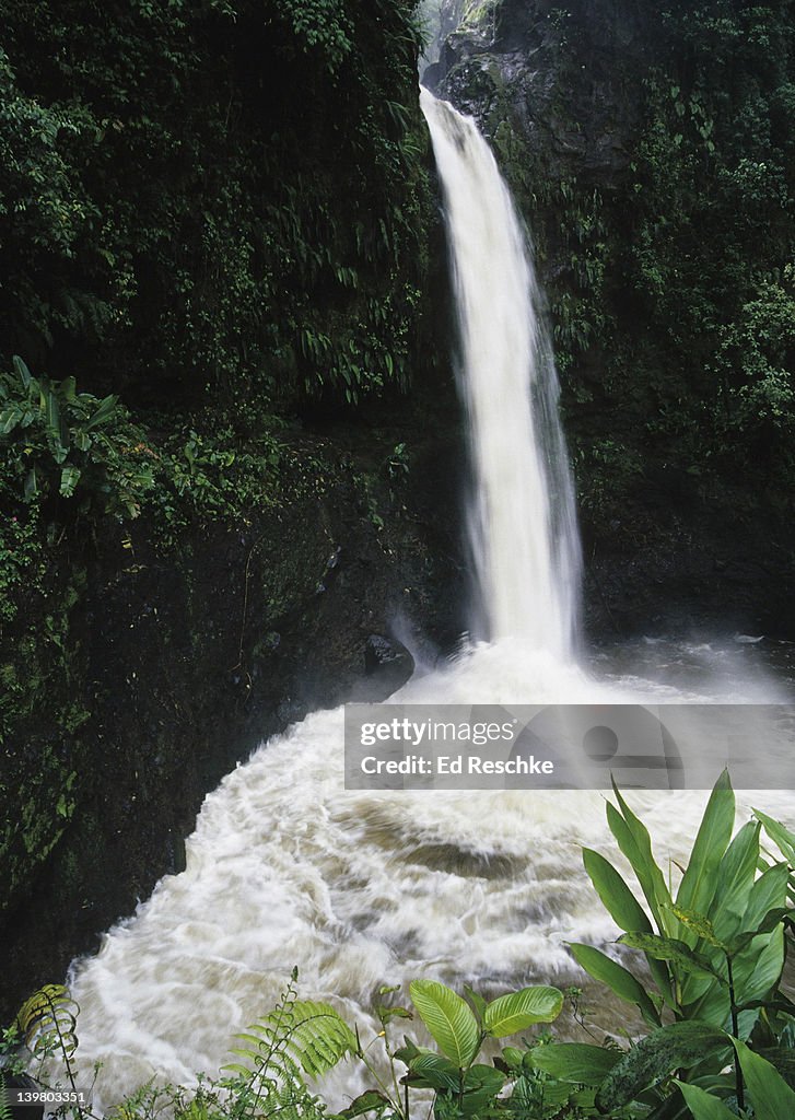 LAPAZ (Peace) WATERFALL, COSTA RICA, Lapaz Waterfall Gardens. Nature Park & Wildlife Refuge.