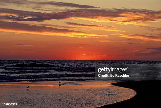 sunset over lake michigan, duck lake state park, western michigan, usa - michigan state v western michigan stock pictures, royalty-free photos & images