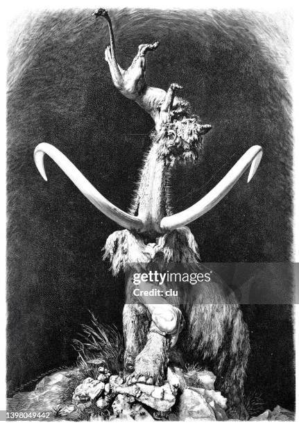 ilustraciones, imágenes clip art, dibujos animados e iconos de stock de mamut lucha con un león impotente - lion-fight-drawing