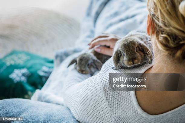 6,374 Cute Little Bunnies Stock Photos, High-Res Pictures, and Images ...
