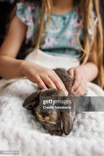 495 Girl Hugging Rabbit Stock Photos, High-Res Pictures, and Images ...