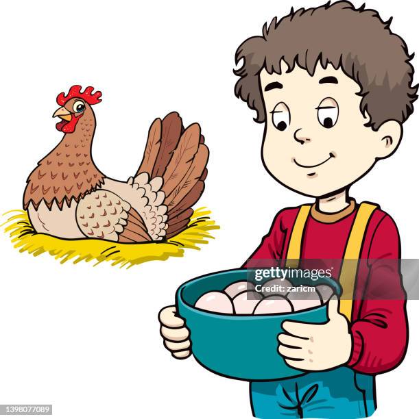 a vector illustration of child collecting eggs from the farm - chicken cartoons stock illustrations