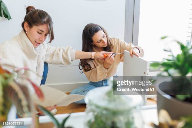 lesbian couple with screwdriver installing new furniture at home - animal riding stockfoto's en -beelden