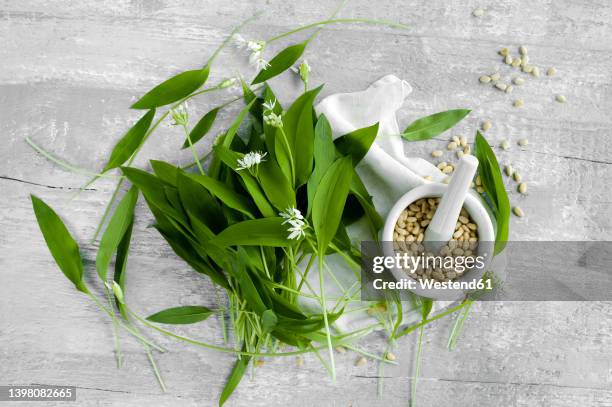studio shot of mortar and pestle, pine nuts and fresh ramson leaves lying against wooden surface - pesto stock-fotos und bilder