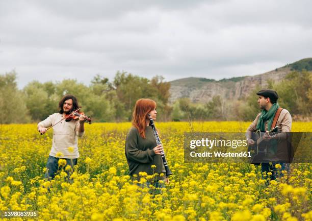 folk music group rehearsing with musical instruments in flower field - 木管楽器 ストックフォトと画像