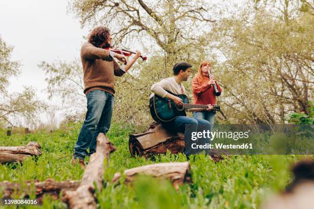 musicians playing musical instruments in field - folk music stock-fotos und bilder