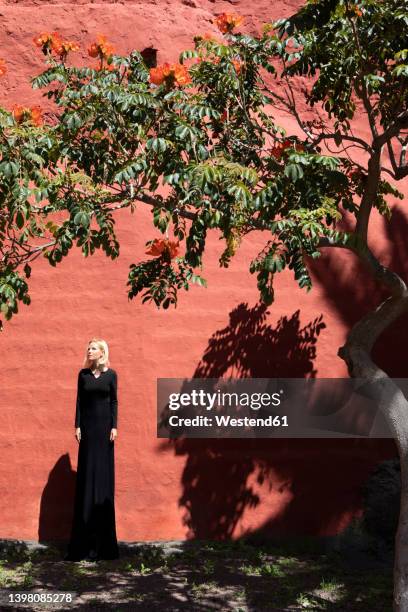 tall woman in long dress standing in front of brown wall - african tulip tree stock-fotos und bilder